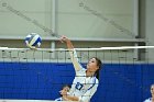 VB vs Plymouth St  Wheaton Women’s Volleyball vs Plymouth St. - Photo by Keith Nordstrom